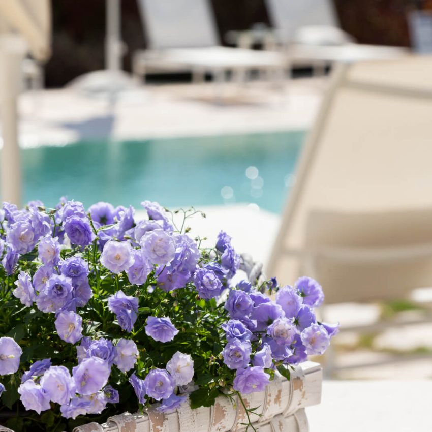 dimora-graziana-1909-ambienti-esterni-pool-living-1