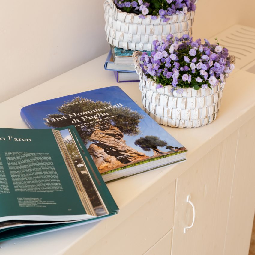 dimora-graziana-1909-superior-il-roseto-24