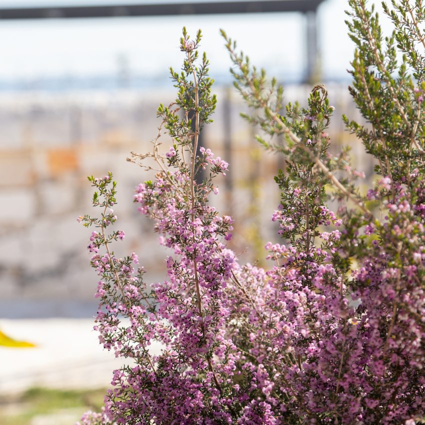 dimora-graziana-exclusive-ambienti-esterni-pool-living-garden-11