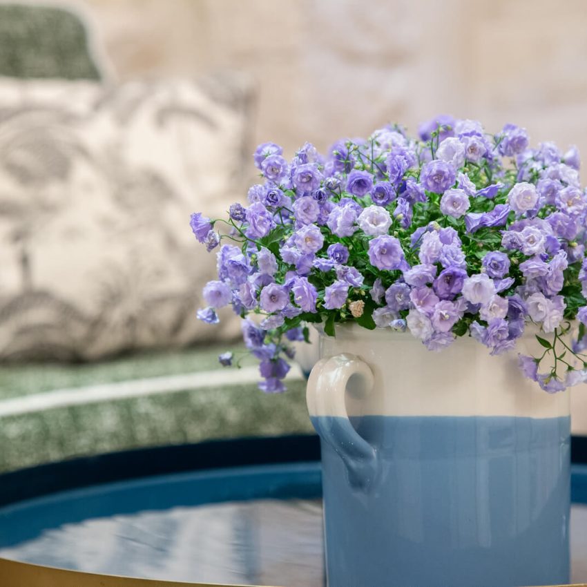 dimora-graziana-exclusive-trullo-master-suite-33