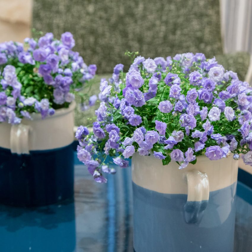 dimora-graziana-exclusive-trullo-master-suite-39