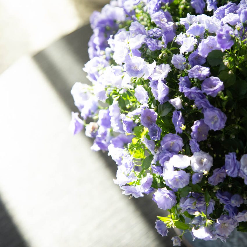 dimora-graziana-exclusive-trullo-master-suite-50